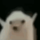 abi1512#6370's avatar