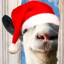 goat_milk