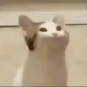 falkior
