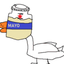 polyduck.