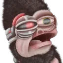 cyberchimp