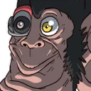 cyberchimp