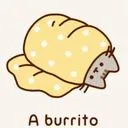 purrito6276