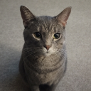 avatar TheyCallMeLyssa