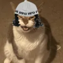 ricepwrdvgbd