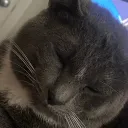ricepwrdvgbd