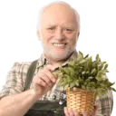 ma