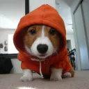 pete_fin