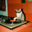 avatar A Dancing Cat