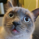 Discord Avatar