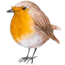 qnic_