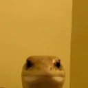 jdfk
