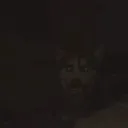 skyguyic