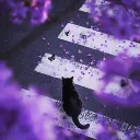 akito_01