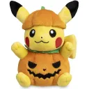 thepikachumaster