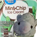 mintygreenllama