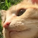 bilbosr