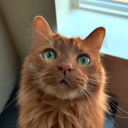 avatar Mini Weeny (Mini Weeny)