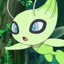catsu3y
