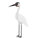 crane1553