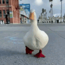 datlalo
