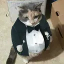 caiorosa