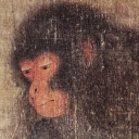 avatar Albanian Bruce