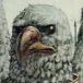 jacemeister