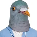 pidgeplays