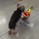 fewme