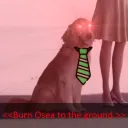 joevervt