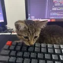 zipqt