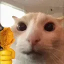 penguinodoom