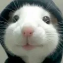 whosdavi