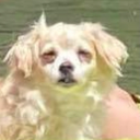 mrskipsauce#7702's avatar