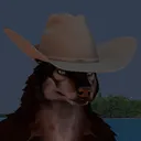 chubbytexanidiot
