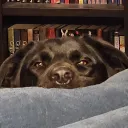 rawrtv
