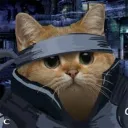 .catballs