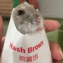 hrafnagut