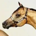 Namenloses's Avatar