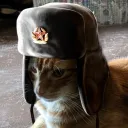 labour_aristocrat