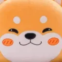 corgiwelshweeeee