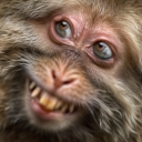 .weeq.#3614's avatar