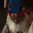 tiggydee