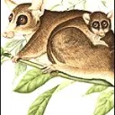 inviting_badger_91599
