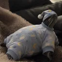 wizardjesse