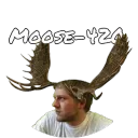 moose4200