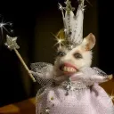 missvorhees