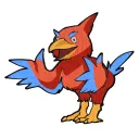 mr.birds