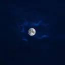 myudev